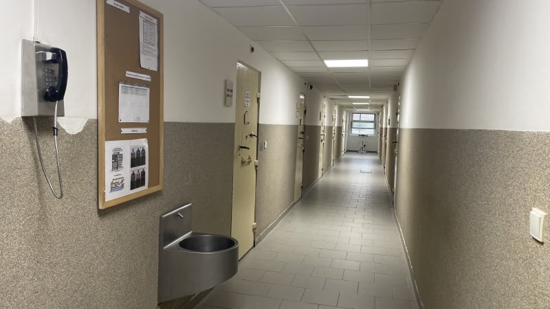 Matka přihlížela utýrání vlastního syna. Po půl roce vězení je na svobodě