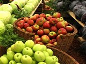 Inspirace pro každého zahrádkáře. Výstava Zahrada Čech se opět otevře veřejnosti