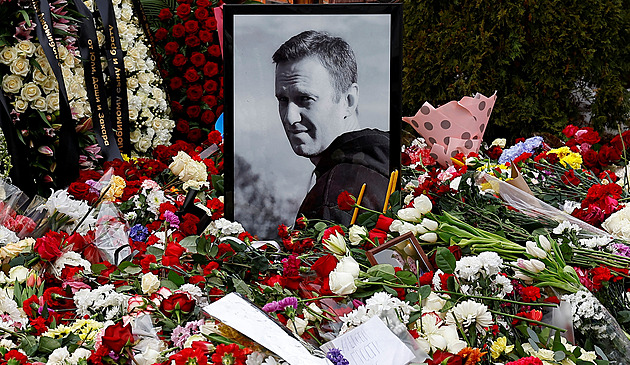 Alexeje otrávili, ukázaly to testy, hlásí Navalná. Nic nevíme, reagoval Kreml