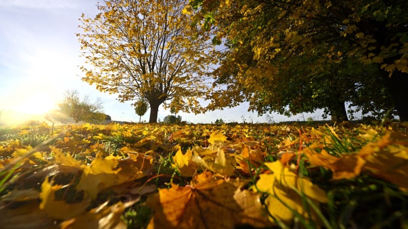 Sledujte RADAR: Česko čeká slunečný týden, v neděli přijde zlom 
