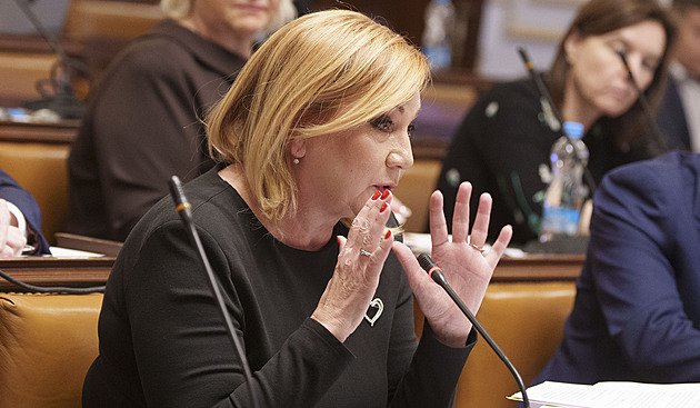 Politici ANO ve Sněmovně trhají rozpočet na kusy. Chybí 83,6 miliardy, tvrdí