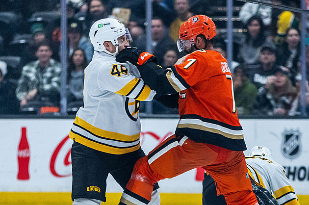 Stačila jedna rána. Gudas v bitce vypnul soupeře, z ledu mu pomáhali spoluhráči