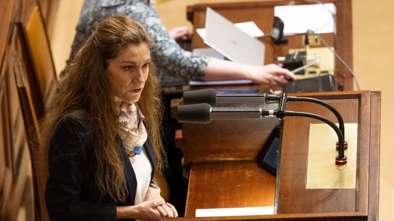 Jak jsme mohli prohrát volby? podivovala se Decroix. Příčiny jí vysvětlují i kolegové z ODS