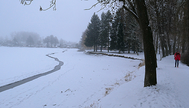 Žďár křísí Horní rybník. Bahno vyživí pole, okolí doplní ptačí pozorovatelna