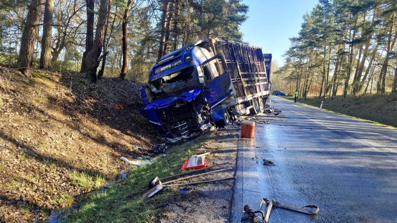 Tragická nehoda na Plzeňsku: Auta začala po čelní srážce hořet, jeden z řidičů nepřežil