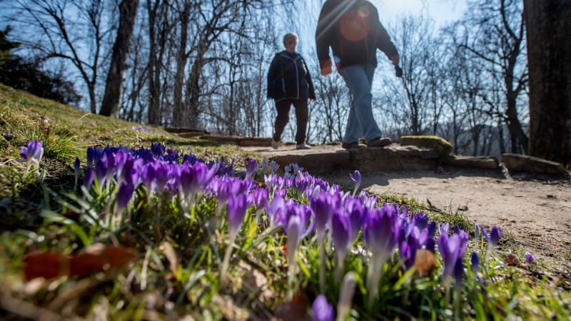 RADAR: Slunečné počasí vystřídá déšť, může i sněžit. Podívejte se, jak bude u vás