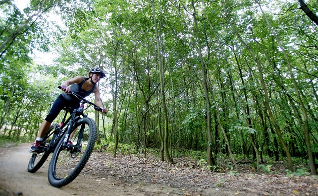 Méně lesa, zato nové cesty. Na singletrailech v krasu se chystá i stezka pro děti