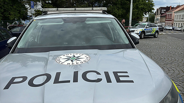 Muže viní, že ubil družku a znásilnil nezletilou. Policie ho žene před soud