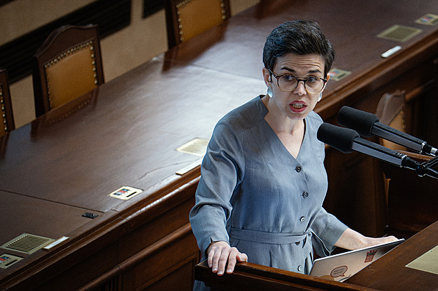 S bytovou problematikou nemají úřady práce žádnou zkušenost, varuje Richterová