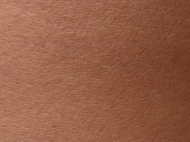 Čipy už nemusí být tvrdé. Nové neuromorfní obvody se natahují jako lidská kůže