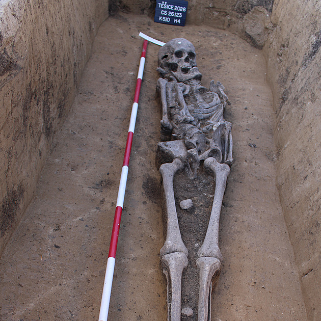 Prasečí noha pro nebožtíka, kachnička z bronzu. Archeologové odkryli unikáty
