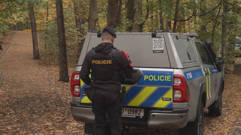 Posun v případu pobodání běžkyně v Plzni: Mladík skončil ve vazbě ze dvou důvodů